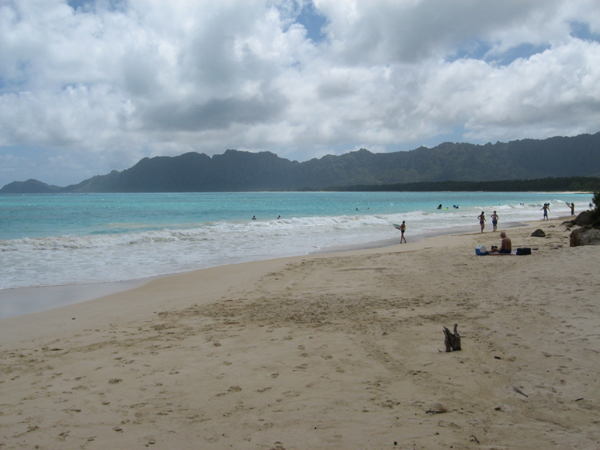 203_Day_2_at_Bellows_Beach